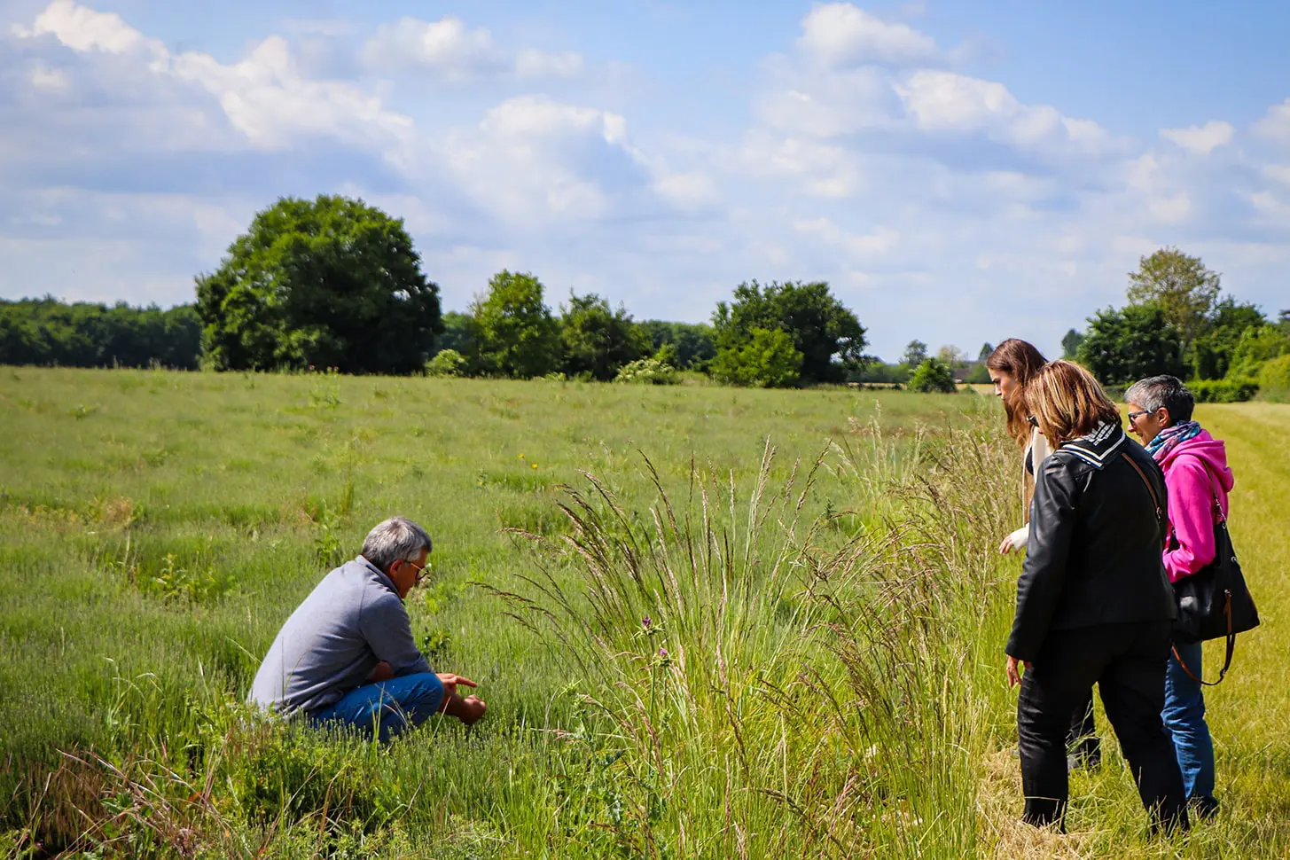 Visite des Aromatiques du Berry