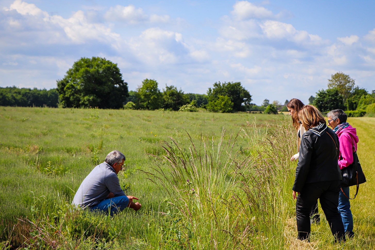 Visite des Aromatiques du Berry